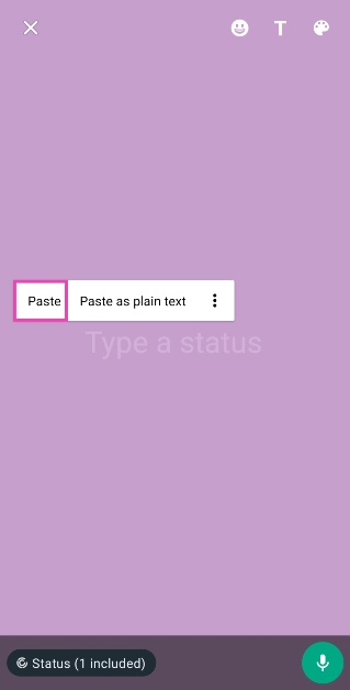Step 5: Paste the empty character from your clipboard into the text field.