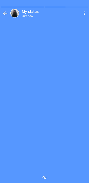 Step 7: The blank status will be uploaded to your WhatsApp profile.