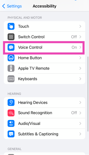 Step 2: Tap on Voice Control.