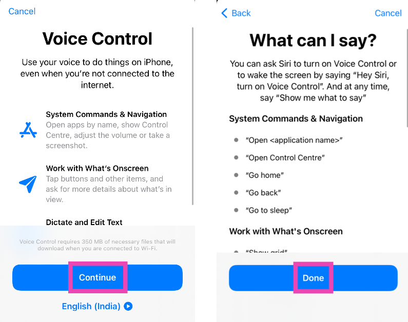 Step 3: Select Set Up Voice Control. Hit Continue and Done.