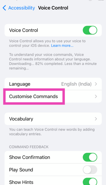 Step 4: Select Customise Commands.