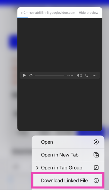 Step 3: Long press the download button and select Download Linked File.