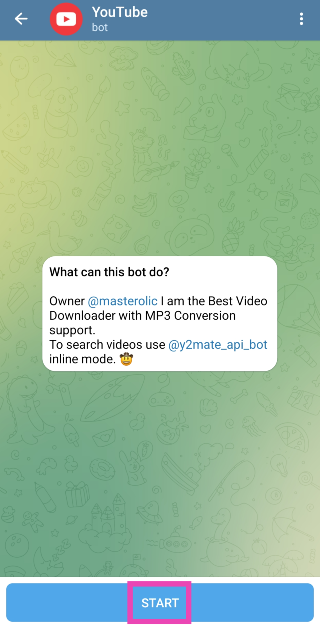 Step 2: Tap on the bot and hit Start.