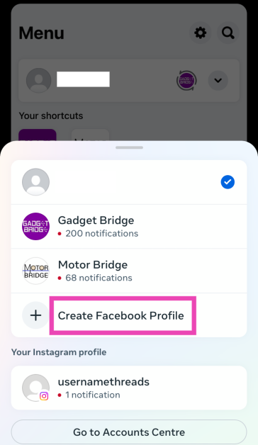Step 4: Tap on Create Facebook Profile.