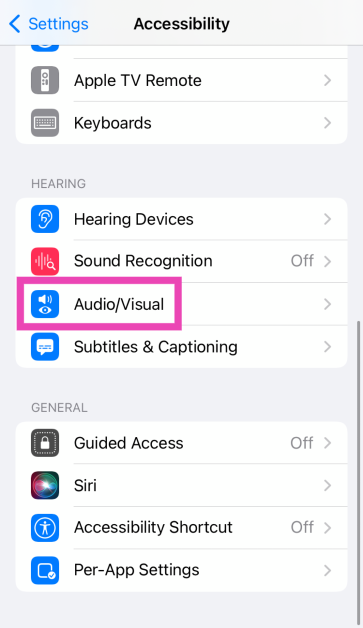 Step 3: Select Audio/Visual.