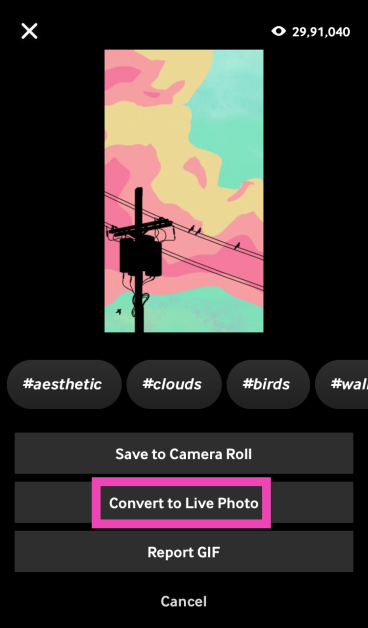 Step 4: Select Convert to Live Photo.