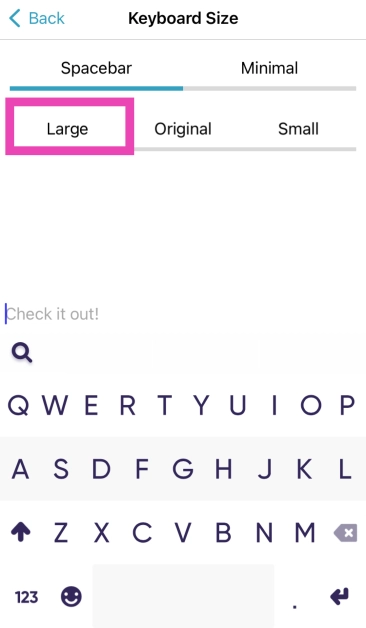 Step 8: Select Large. Top 7 Ways to Make Keyboard Bigger on iPhone (2024)