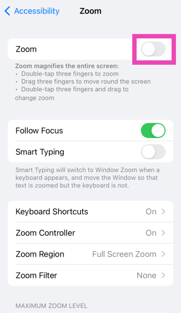 Step 3: Turn on the toggle switch for Zoom.