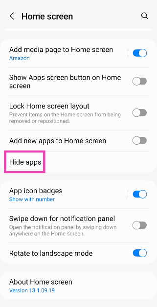 Step 2: Tap on Hide apps.