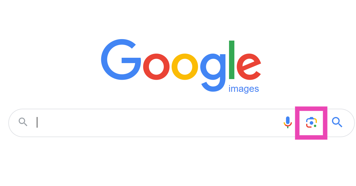 Step 2: Click on the camera icon.