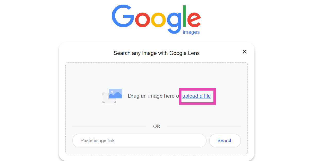Step 3: Drag the image you wish to search and drop it into the box or click on ‘upload a file’.
