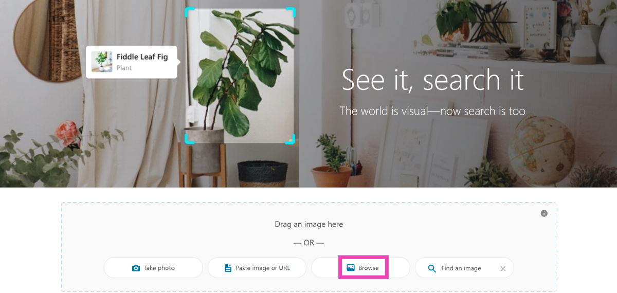 Step 2: Drag an image into the box or upload one from your desktop. You can also choose to take a live picture using your PC’s webcam.