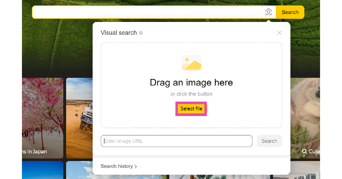 Step 3: Click on Select file. Top 5 Ways to Reverse Image Search on Desktop (2024)