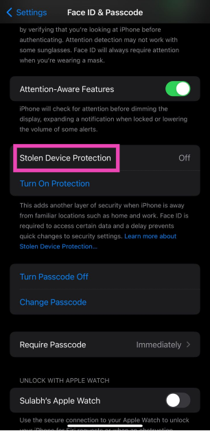 Step 3: Tap on  Stolen Device Protection to turn it on.