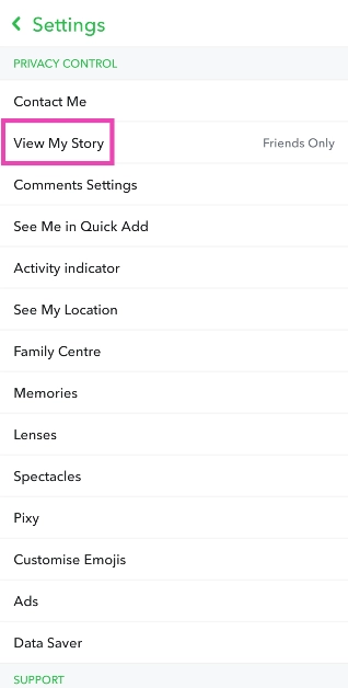 Step 3: Scroll down and tap on View My Story.