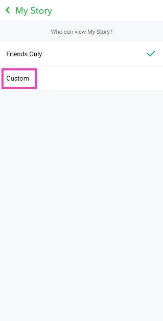 Step 4: Select Custom.