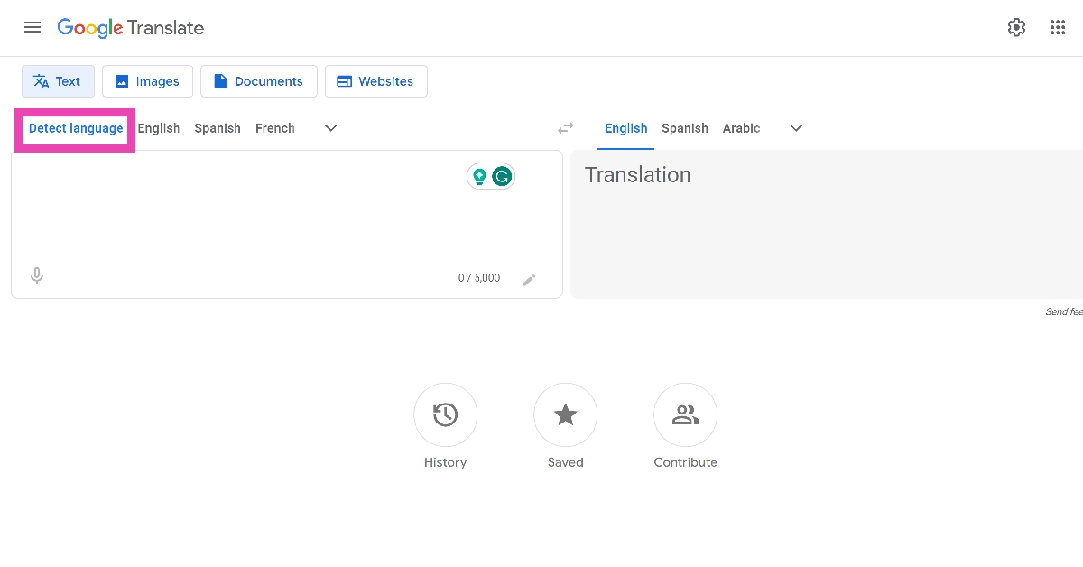 Step 2: Switch to the Detect Language tab on the left.