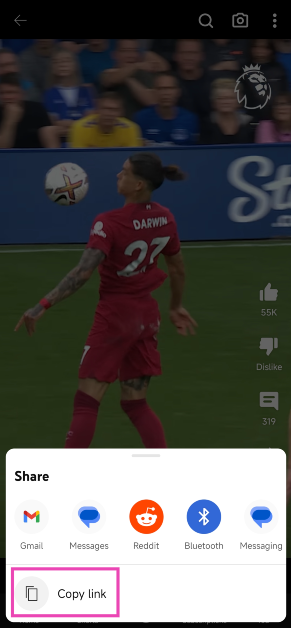 Step 2: Tap on Copy link.