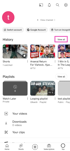 Step 3: Tap on the See all in the History section.