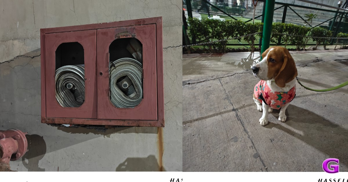 OnePlus 12 camera review