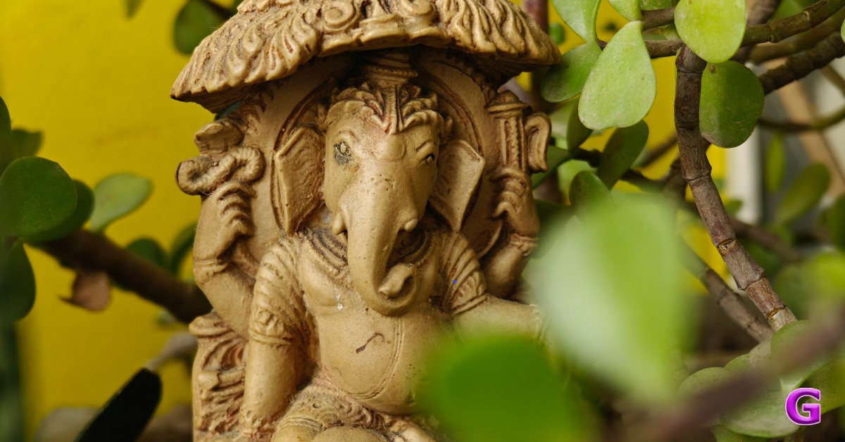 OnePlus 12 camera review