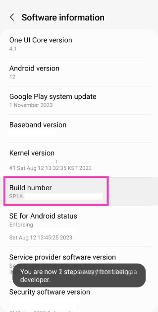 Step 3: Find the Build Number and tap on it 7 times. You will then enter Developer Mode. Top 5 Ways To Remove Apps That Android Won't Let You Uninstall (2024)