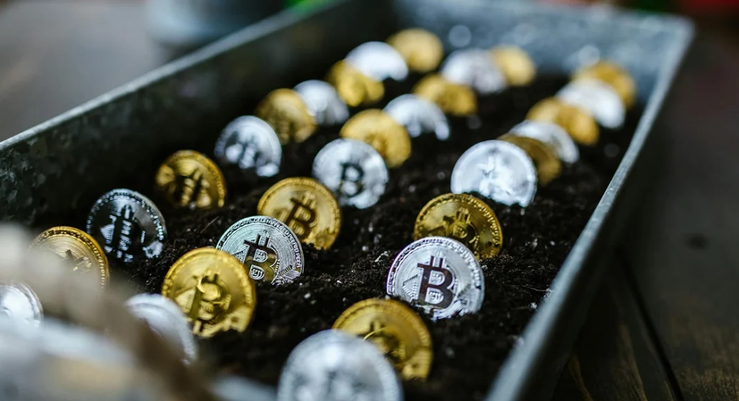 bitcoin halving