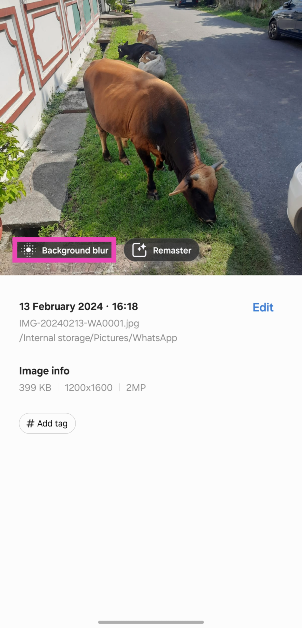 Step 3: Galaxy AI will come up with the relevant editing suggestions for the picture.