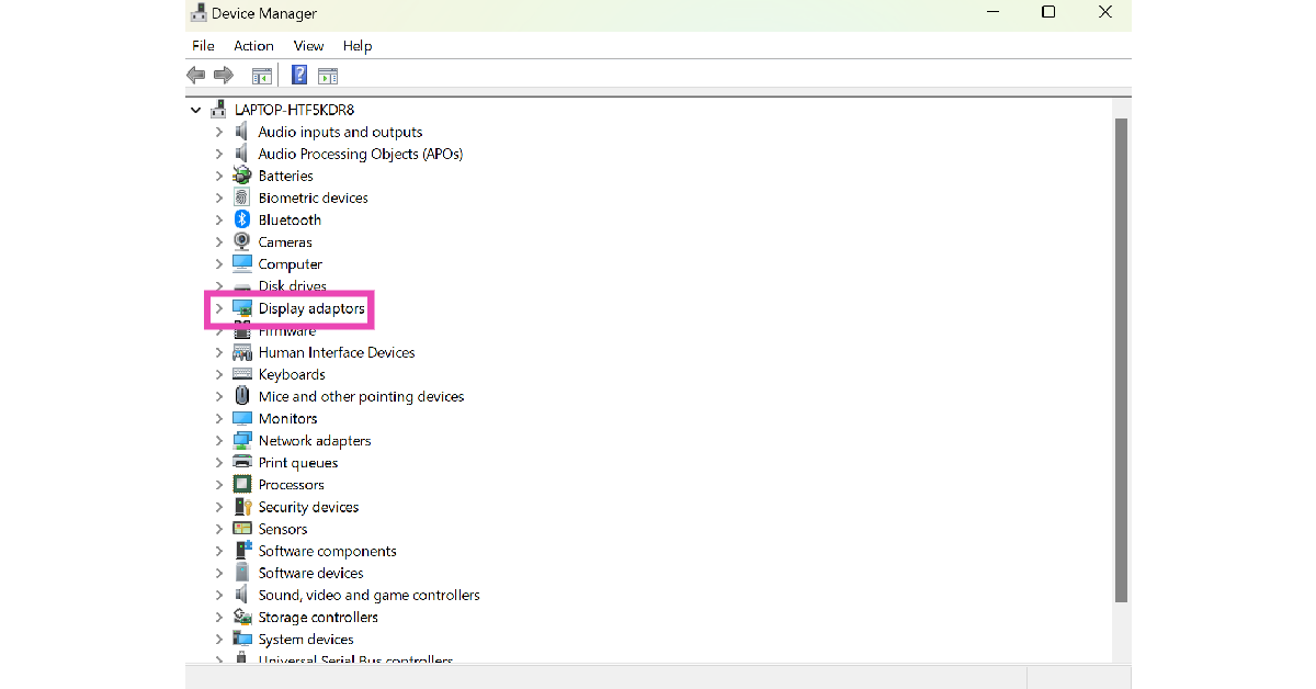 Step 2: Click on Display Adapters.