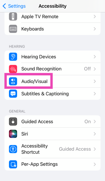 Step 3: Select Audio/Visual.