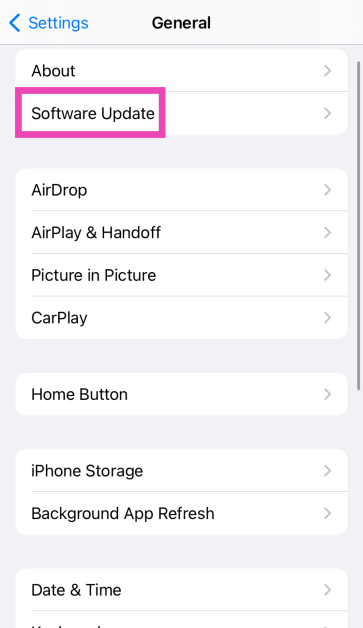Step 3: Select Software Update. Top 11 Ways to Fix 'Message Blocking is Active' on iPhone Top 8 Fixes for ‘iMessage Not Downloading Pictures on iPhone’ (2024)