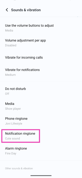 Step 2: Tap on Notification ringtone.