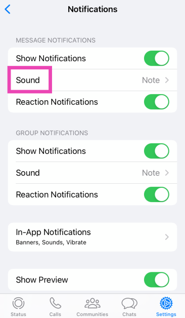Step 3: Tap on Sounds.