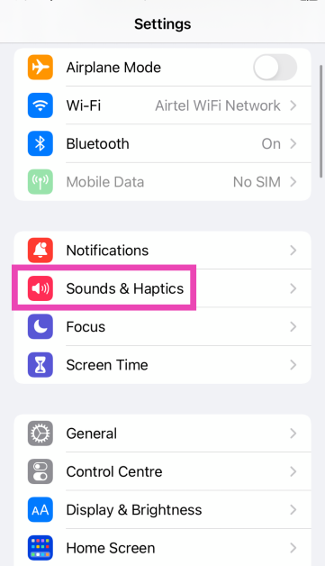 Step 1: Go to Settings and select Sounds & Haptics.