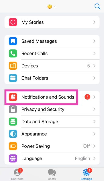 Step 3: Tap on Notifications and Sounds.