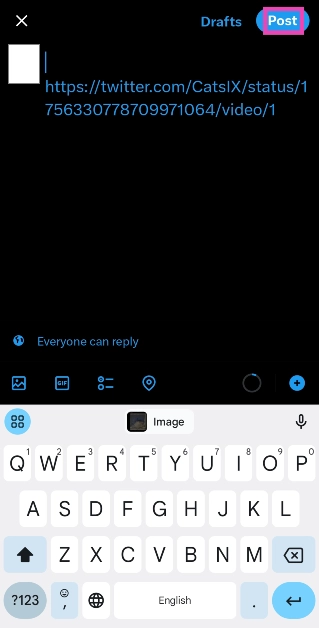 Step 5: Hit Post at the top right corner of the screen.