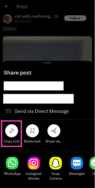 Step 3: Tap on Copy Link.