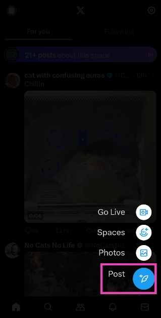 Step 4: Go back to the home page and tap the blue plus icon. Hit Post.