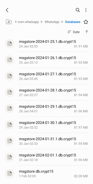 Step 3: Copy the file named 'msgstore.db.crypt12'. On some phones, the number at the end of the file name may be different.