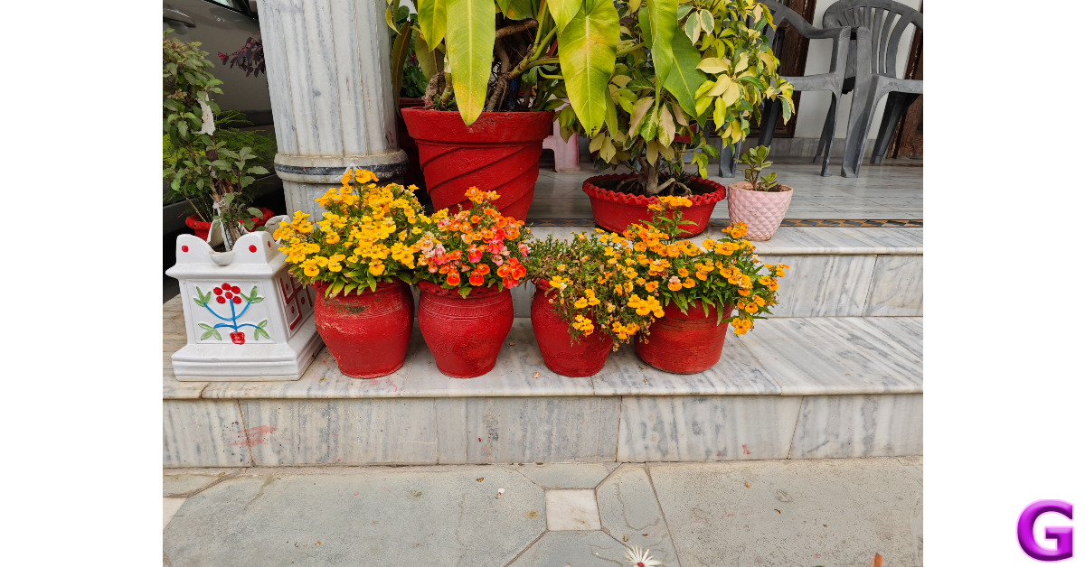 Xiaomi 14 review: Performance and Cameras