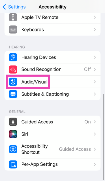 Step 2: Select Audio/Visual.