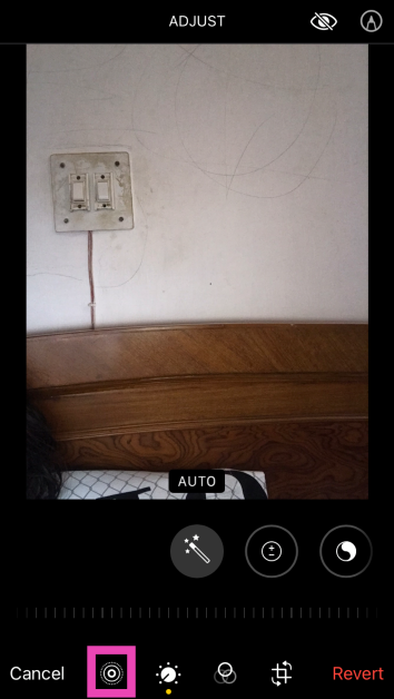 Step 3: Tap the Live Photo icon at the bottom of the screen.