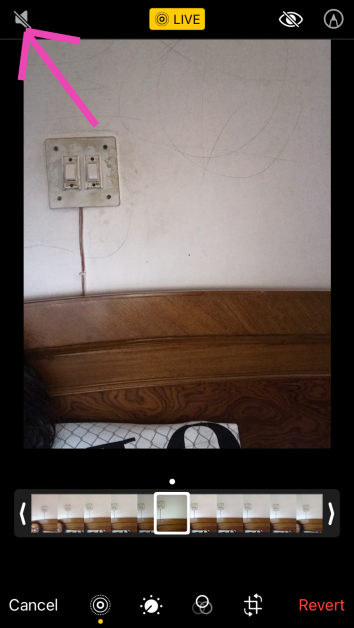 Step 4: Tap the speaker icon at the top left corner of the screen.