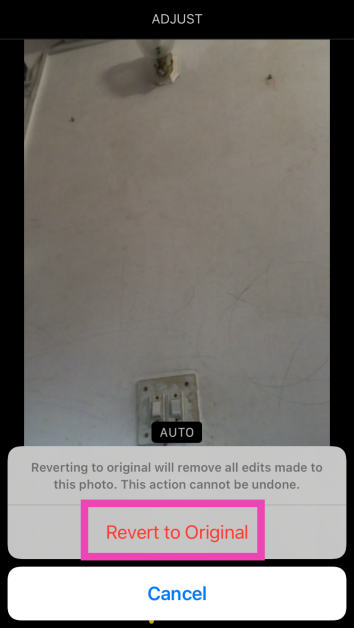 Step 4: Select Revert to Original in the popup box. Can’t hear the sound on Live Photos on your iPhone? Use these 6 fixes (2024)