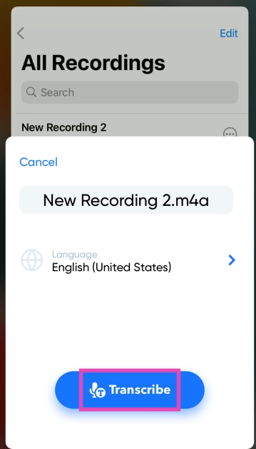 Step 5: Choose your Language and Punctuation mode. Hit Transcribe.