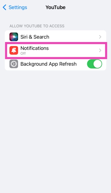 Click on Notifications and turn on the toggle switch for Allow notifications.