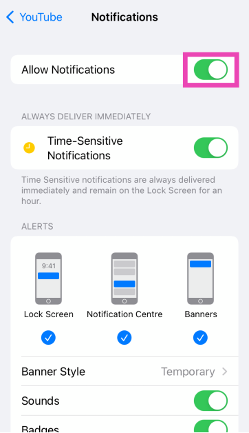 Scroll down on the same page and find the Alerts category.