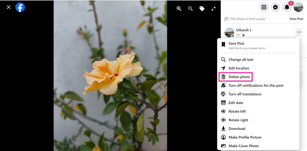 Step 3: Click on Delete photo and confirm your selection on the popup page.