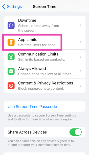 Step 3: Tap on App Limits.