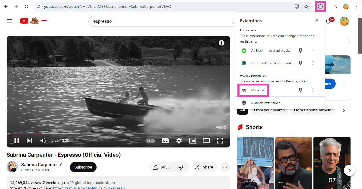 Step 2: Go to the tab you wish to mute and click on the puzzle piece icon next to the address bar. Top 3 ways to mute a site or tab in Google Chrome? (2024)